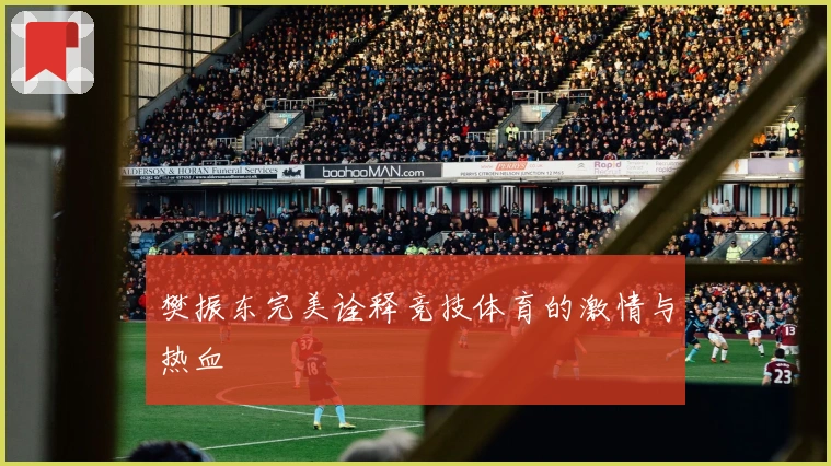 樊振东完美诠释竞技体育的激情与热血