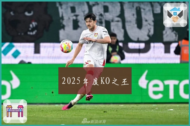 2025年度KO之王